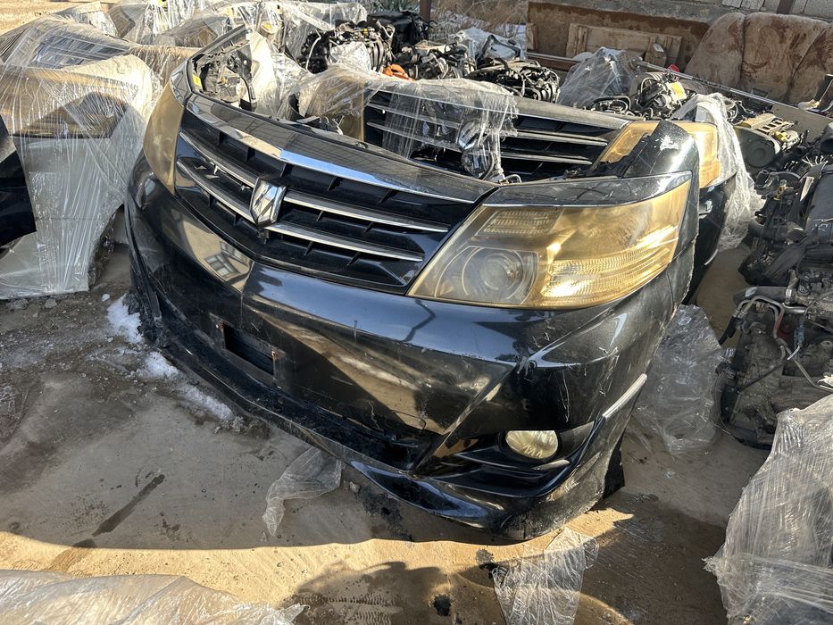 Мини морда на альфард