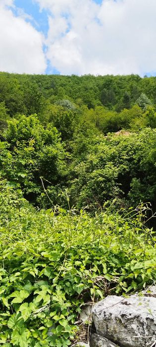 Парцел  в с Банкя Община Трън
