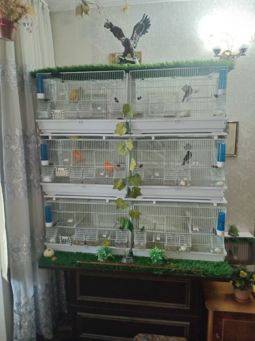 Клетка для декоративных птиц.