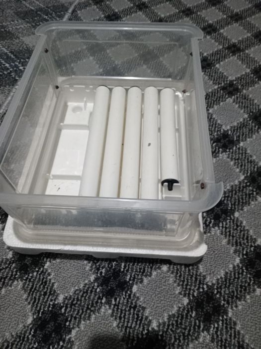 Сотилади  инкубатор