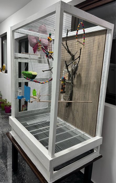 Colivie / cusca + papagal nimfa