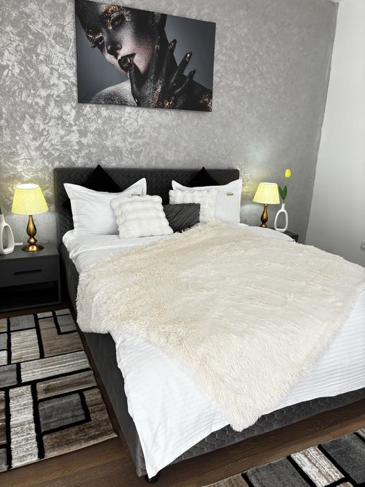 Apartament 1 Camera In Regim Hotelier Langa Iulius Mall