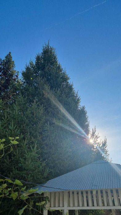 Продам дом в центре города