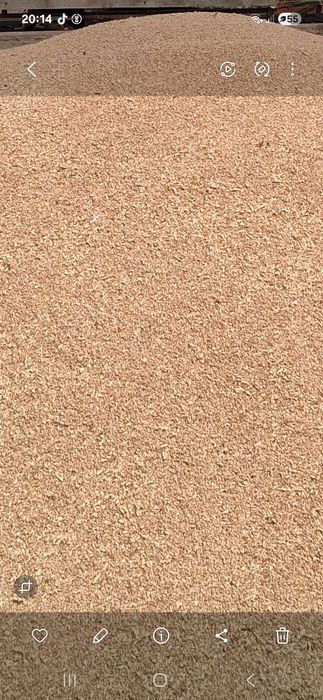 Vând grâu  producție 2025