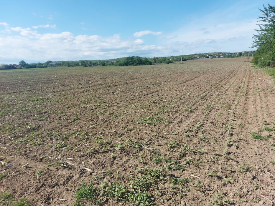 Intravilan Valea Calugareasca 4895 mp