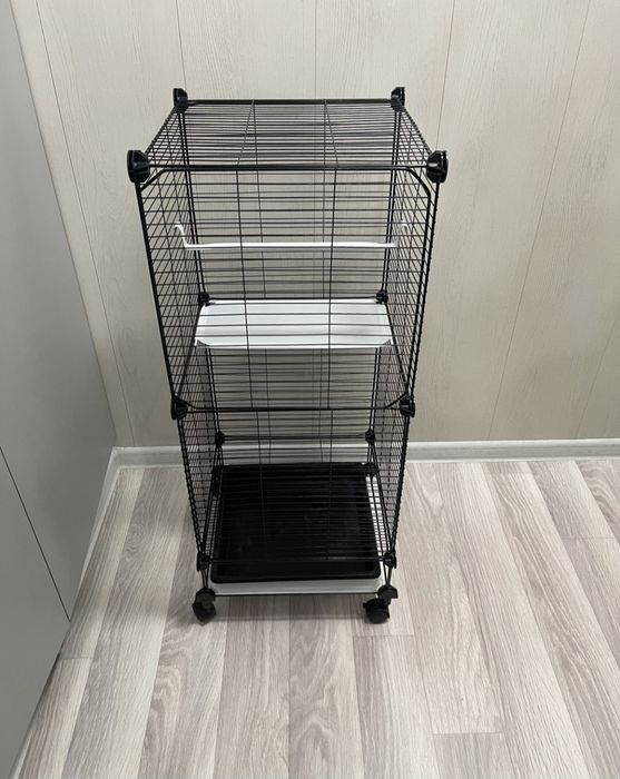 Корелы ручные продам