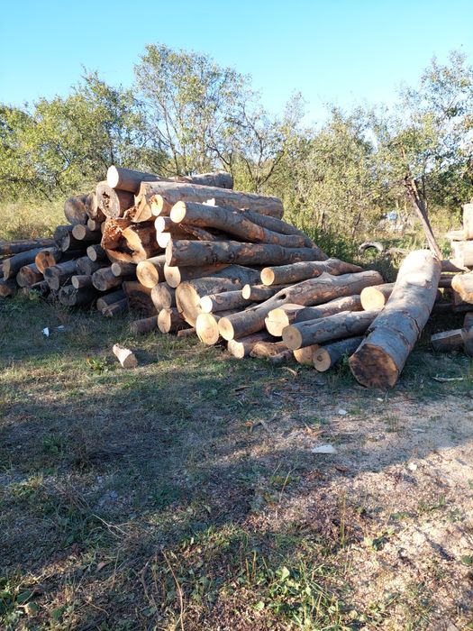 Lemn pentru foc transport inclus în jud cluj