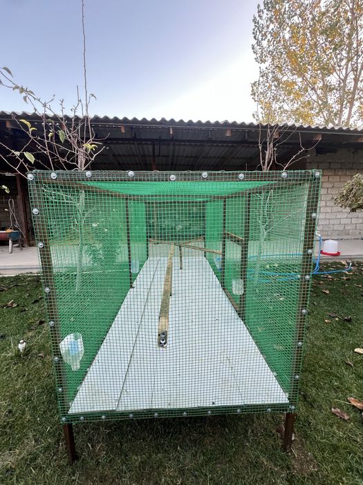 Parrandalar uchun katak