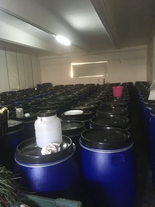 Vand butoaie plastic circa 100 buc folosite o singura data pt muraturi pret60 ron
