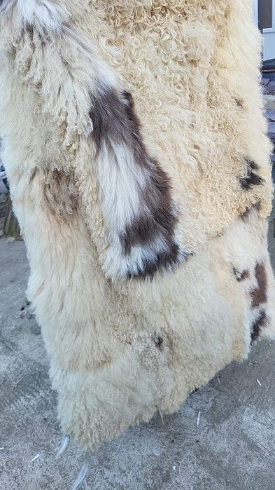 Cojoc Ciobanesc Argăsit