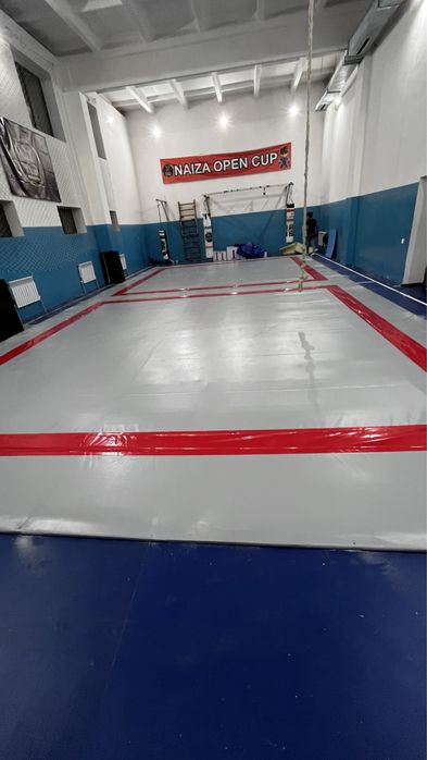 Боксерский ринг, борцовские ковры, татами, октагон