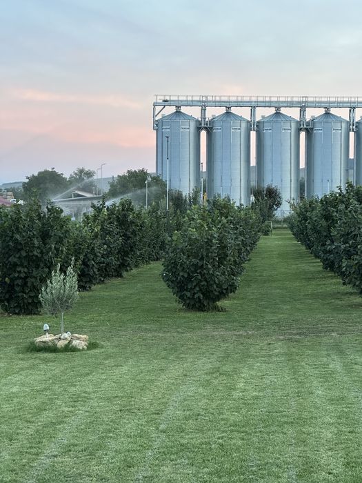 Vand propietate in Galda de Jos , 4700 mp