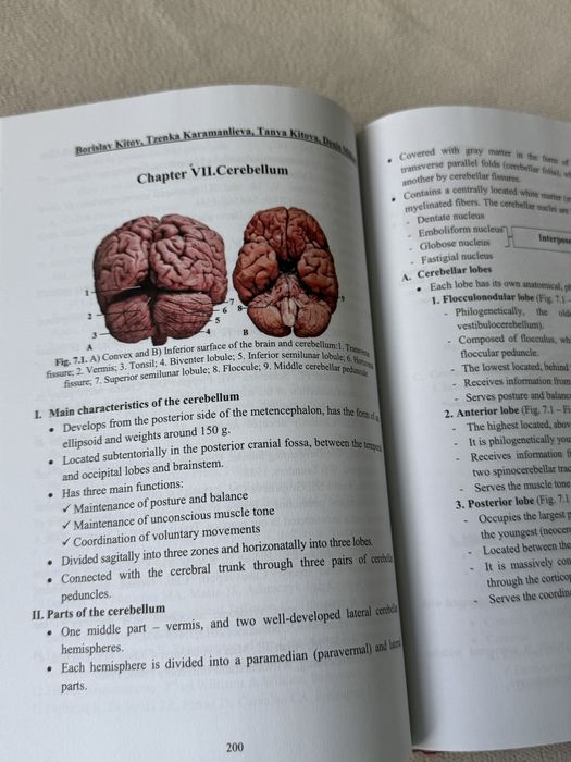 Clinical Neuroanatomy , Борислав Китов