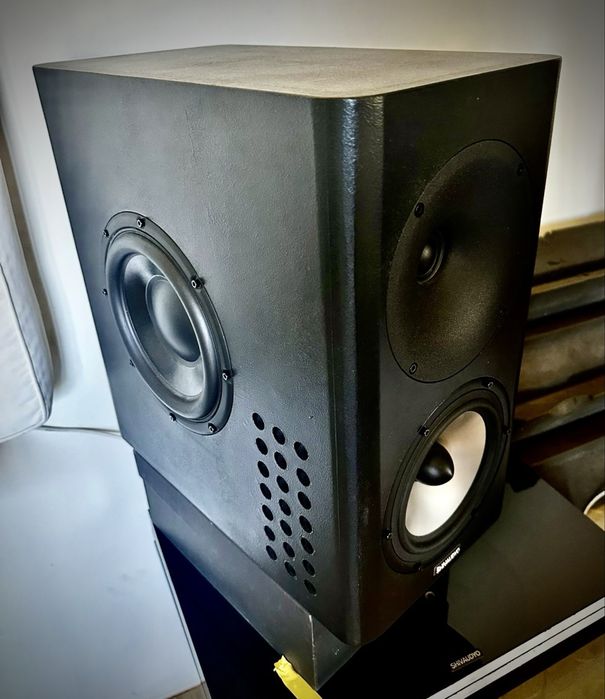 Monitoare audio studio Shivaudyo full-range impecabile