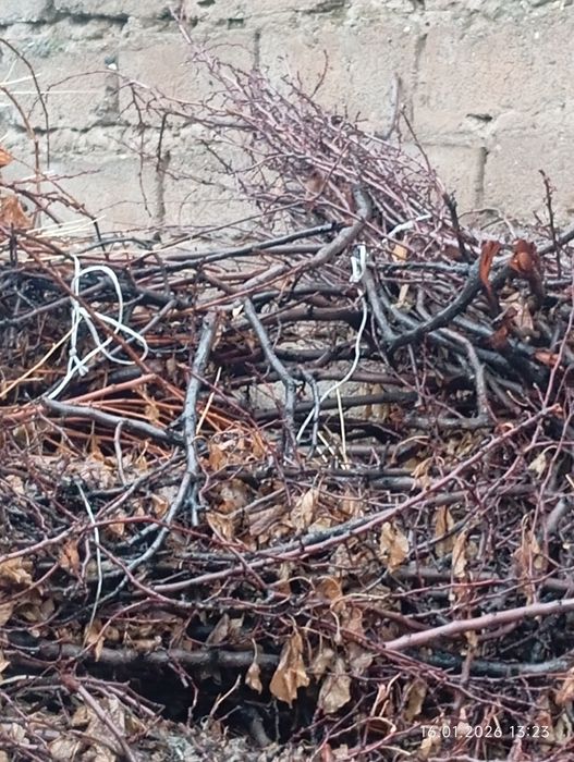 Утин тезда сотилади