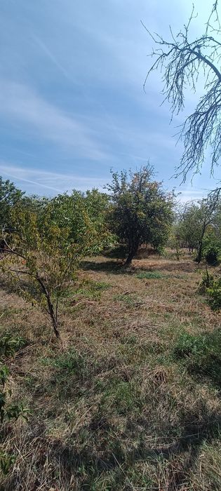 Casa de Vanzare  in localitatea Jidostita jud MH