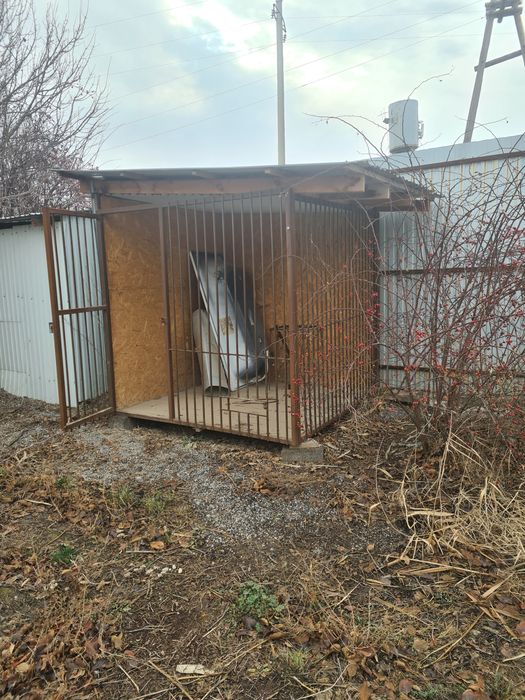 Окна на магазин , вольер, ворота