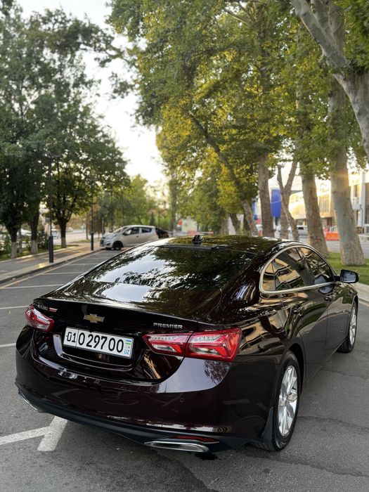 Malibu premier limited 2021