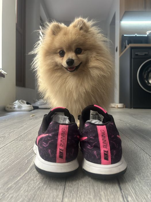 Маратонки Nike Flex Experience RN 5
