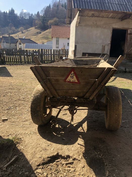 Vând ștraf doi cai