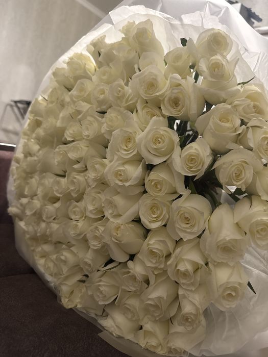 101 роза белая цветы