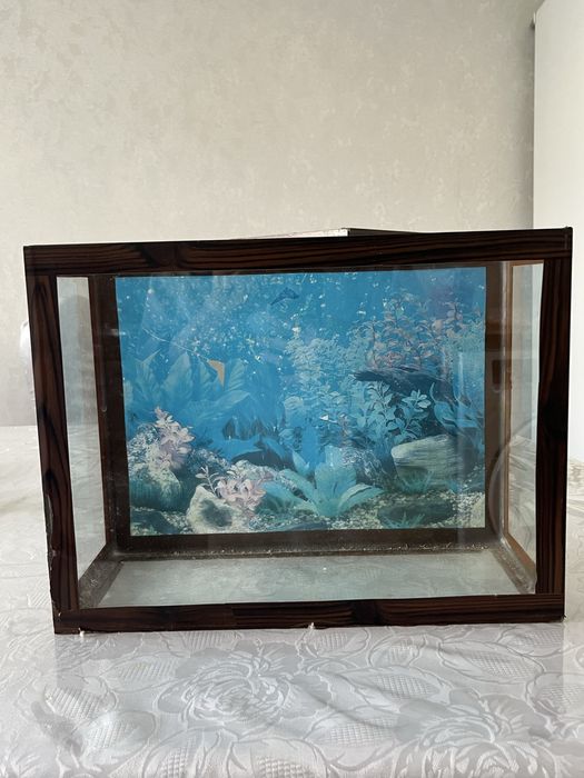 2 стеклянных аквариума