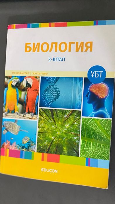 Шымкент …багасын келысемыз