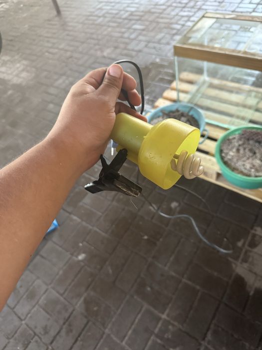 Аквариум большой