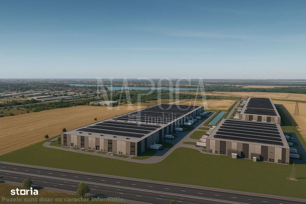 Spatiu industrial de vanzare in Bors