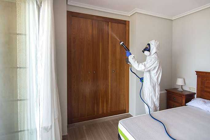 Dezinfeksiya Дезинфекция Уничтожение клопов, тараканов, блох 24 часа