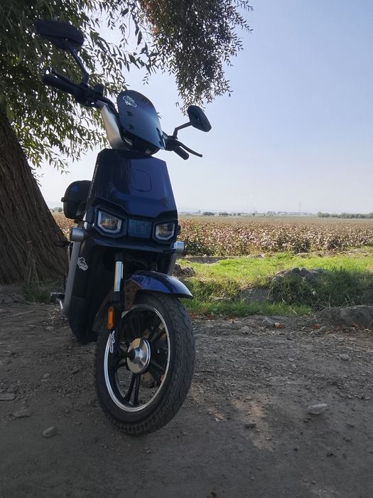 Скутер Drongo TK