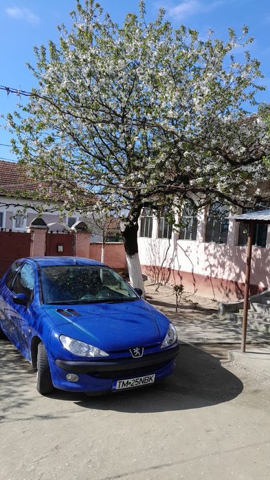 Peugeot 206 ,benzina 1,4.
