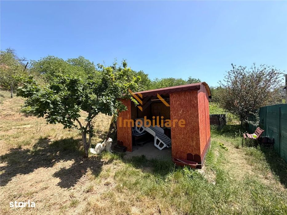Teren Intravilan Cu Pivnita | 884 Mp | Zona Episcopia | Oradea