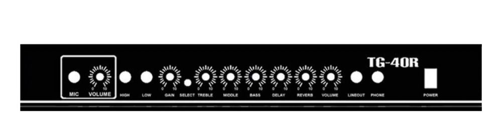 Комбоусилитель Smiger TG-40R-MIC Black