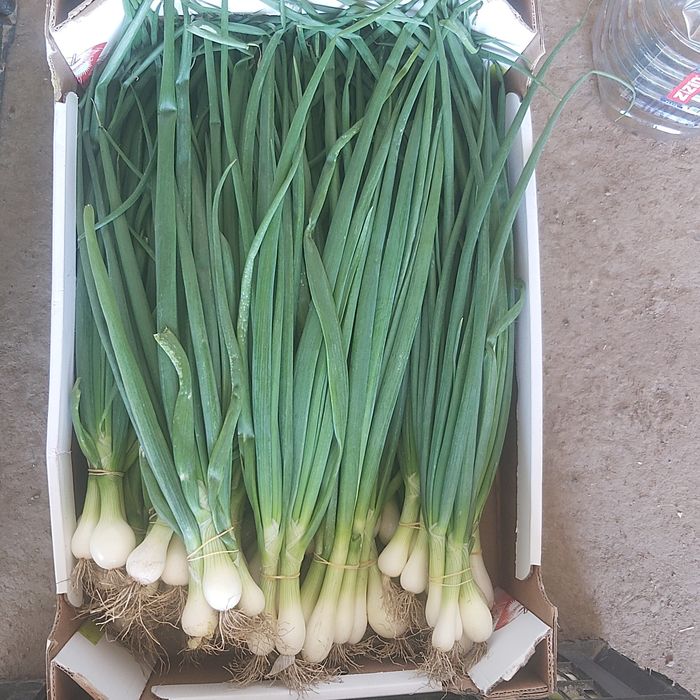 Vind dovlecei, ceapa, svecla - angro de la producator.