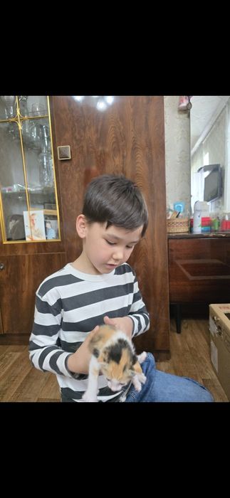 Лонгслив для мальчиков бу