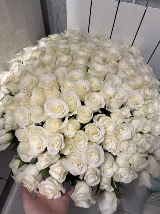 Продам свежие цветы 151 шт