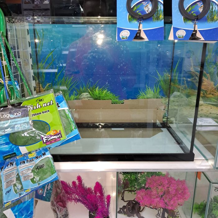 Аквариумистика аквариумы