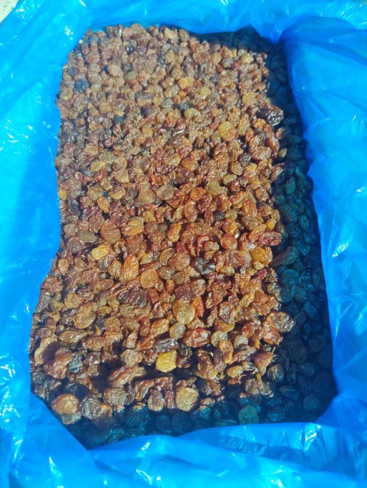 Стафида Тъмна/Златна - 5 кг кашони