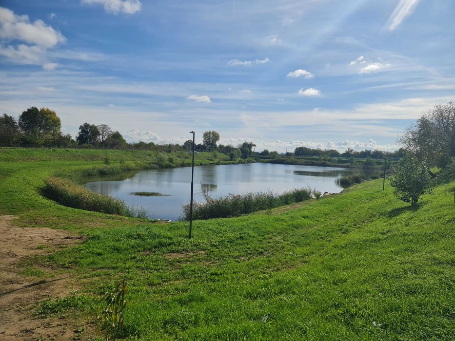 Lac de vânzare – Vetiș, județul Satu Mare