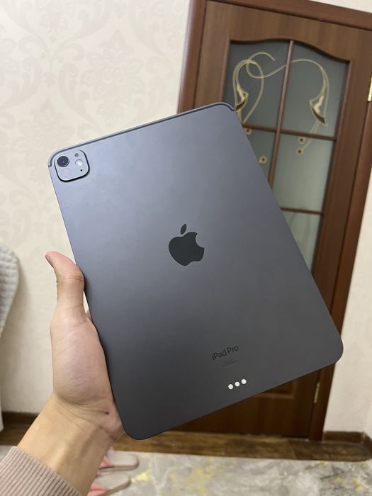 Ipad Pro 11 M4 256gb