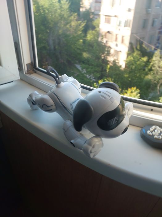 Продаётся собака робот