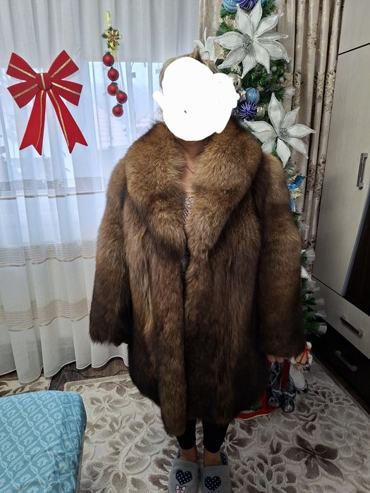 Haina dama vulpe polara