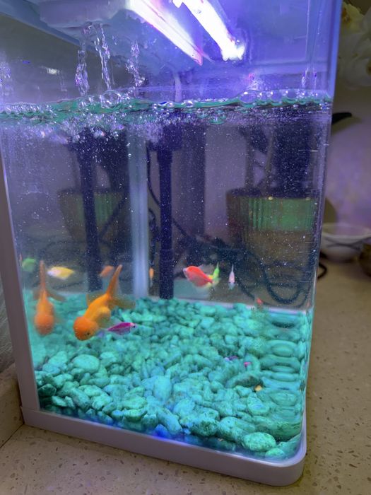 Aquarium аквариум 15litr