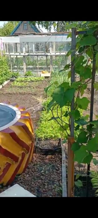 Дачный участок с постройками