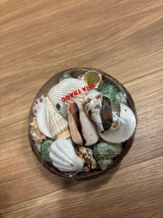 Набор маленьких ракушак