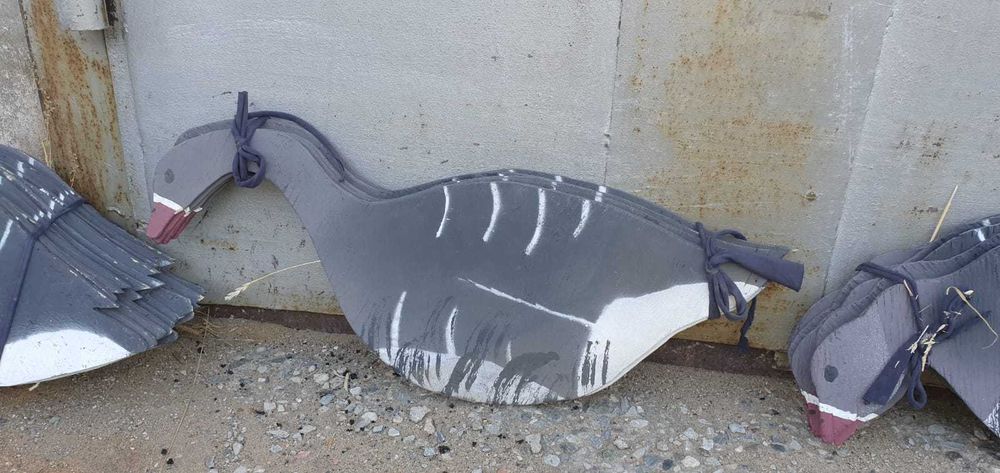 Продам профиля гусей