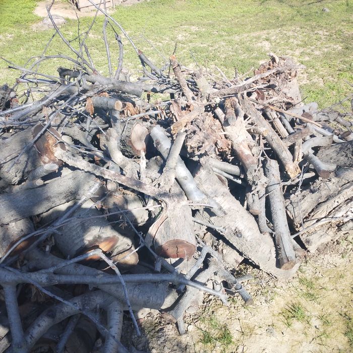 Утин дрова  Гелос хаммаси