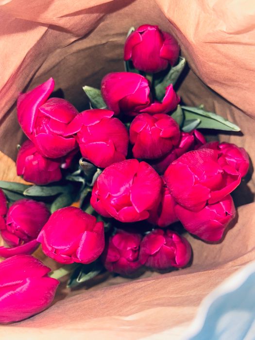 Тюльпаны 70 см к 8 марта