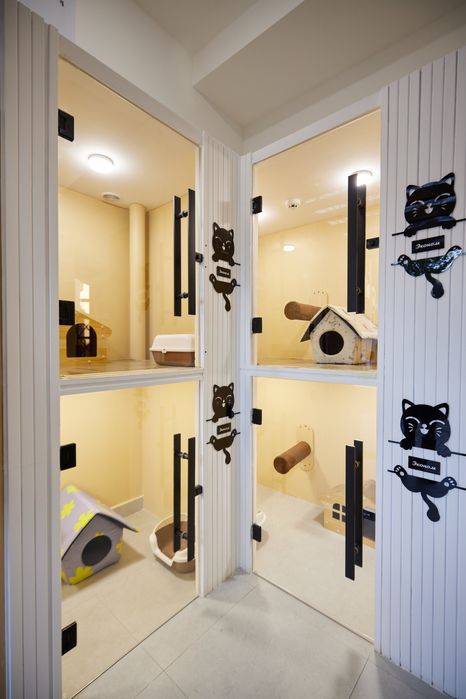 Гостиница для кошек Happy Mur.